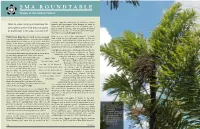SMA ROUNDTABLE Palms in the Urban Forest