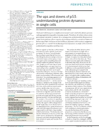 The Ups and Downs of P53: Proc
