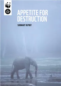 Appetite for Destruction (Summary Report)