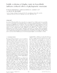 Labile Evolution of Display Traits in Bowerbirds Indicates Reduced Eﬀects of Phylogenetic Constraint