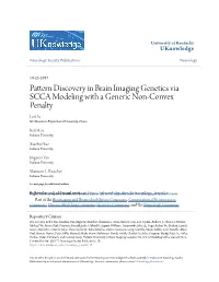 Pattern Discovery in Brain Imaging Genetics Via SCCA Modeling with a Generic Non-Convex Penalty Lei Du Northwestern Polytechnical University, China