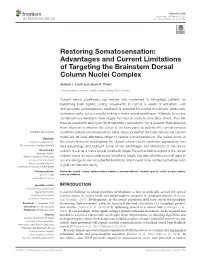 Restoring Somatosensation: Advantages and Current Limitations of Targeting the Brainstem Dorsal Column Nuclei Complex