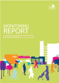 2010/11 Annual Monitoring Report