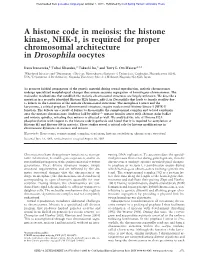 A Histone Code in Meiosis: the Histone Kinase, NHK-1, Is Required for Proper Chromosomal Architecture in Drosophila Oocytes