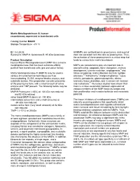 Matrix Metalloproteinase -9, Human Recombinant, Expressed in Transfected Cells