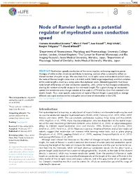 Node of Ranvier Length As a Potential Regulator of Myelinated Axon