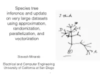 Species Tree Inference and Update on Very Large Datasets Using Approximation, Randomization, Parallelization, and Vectorization