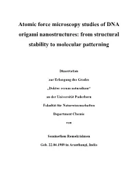 Atomic Force Microscopy Studies of DNA Origami Nanostructures: from Structural Stability to Molecular Patterning