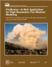 Firebuster—A Web Application for High-Resolution Fire Weather