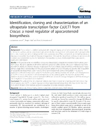 Crocus: a Novel Regulator of Apocarotenoid Biosynthesis Nasheeman Ashraf1*, Deepti Jain2 and Ram a Vishwakarma3