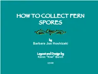 How to Collect Fern Spores!