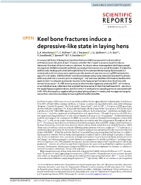 Keel Bone Fractures Induce a Depressive-Like State in Laying Hens E