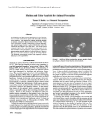 Motion and Color Analysis for Animat Perception in Subsequent Sections