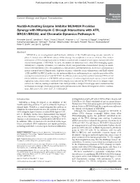 Nedd8-Activating Enzyme Inhibitor MLN4924 Provides Synergy with Mitomycin C Through Interactions with ATR, BRCA1/BRCA2, and Chromatin Dynamics Pathways