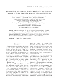 Reconsideration for Occurrence of Mazus Goodenifolius (Phrymaceae) in Miyazaki Prefecture, Japan Using Molecular and Morphological Data