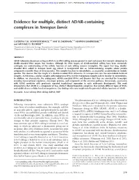 Evidence for Multiple, Distinct ADAR-Containing Complexes in Xenopus Laevis