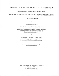 Identification and Partial Characterization of A