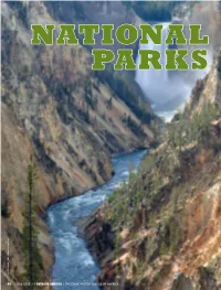 National Parks and a Government Started Agency Devoted Exclusively to Overseeing Them