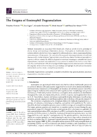 The Enigma of Eosinophil Degranulation