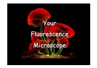 Your Fluorescence Microscope Transmitted-Light