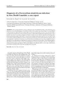 Diagnosis of a Dicrocoelium Dendriticum Infection in New World Camelids: a Case Report