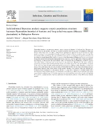 Indel-Informed Bayesian Analysis Suggests Cryptic Population