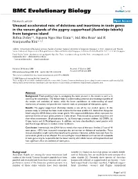 Unusual Accelerated Rate of Deletions and Insertions in Toxin Genes in The