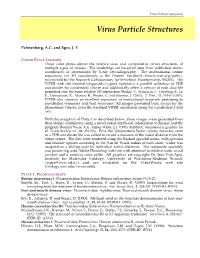 Virus Particle Structures