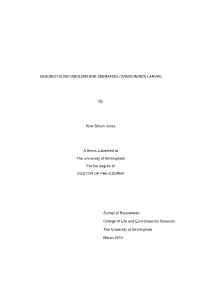 Xenobiotic Metabolism and Zebrafish (Danio Rerio