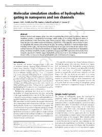 Molecular Simulation Studies of Hydrophobic Gating in Nanopores and Ion Channels