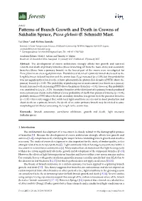 Patterns of Branch Growth and Death in Crowns of Sakhalin Spruce, Picea Glehnii (F