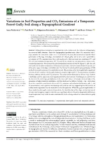 Variations in Soil Properties and CO2 Emissions of a Temperate Forest Gully Soil Along a Topographical Gradient