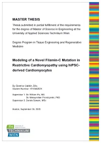 Final Draft Masterthesis Gabbin