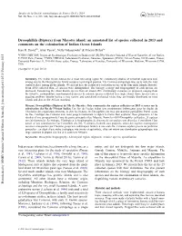 Diptera) from Mayotte Island: an Annotated List of Species Collected in 2013 and Comments on the Colonisation of Indian Ocean Islands Jean R