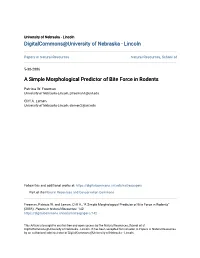 A Simple Morphological Predictor of Bite Force in Rodents
