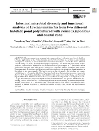 Full Text in Pdf Format