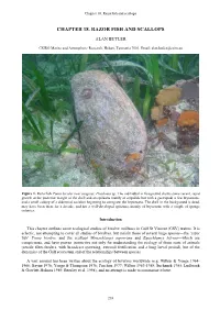 Chapter 18. Razor Fish and Scallops