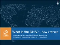 Domain Name System System Work?