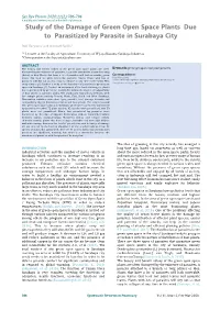 Study of the Damage of Green Open Space Plants Due to Parasitized by Parasite in Surabaya City