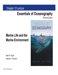 Chapter 12 Lecture