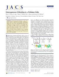 Heterogeneous H‑Bonding in a Foldamer Helix Brian F