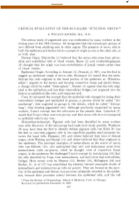 Critical Evaluation of the So-Called “Junction Nevus”