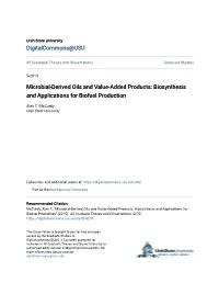 Microbial-Derived Oils and Value-Added Products: Biosynthesis and Applications for Biofuel Production