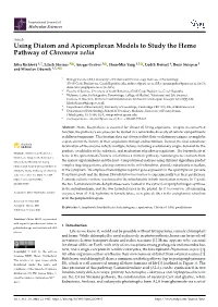 Using Diatom and Apicomplexan Models to Study the Heme Pathway of Chromera Velia