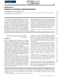 Biochemical Journal Metabolic Channelling [9], Or by Using Membranes and Proteins to Physically Separate Distinct Areas Within the Cell