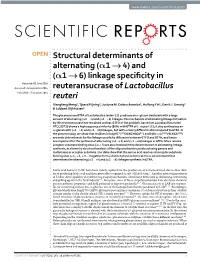 (Α1‹ →‹ 6) Linkage Specificity in Reuteransucrase Of