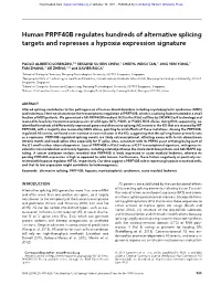 Human PRPF40B Regulates Hundreds of Alternative Splicing Targets and Represses a Hypoxia Expression Signature