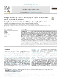 Multiple Evolutionary Routes of the Single Polar Capsule in Thelohanellus Species (Myxozoa; Myxobolidae) T