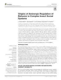 Origins of Aminergic Regulation of Behavior in Complex Insect Social Systems