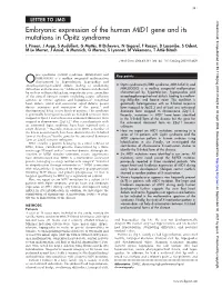 Embryonic Expression of the Human MID1 Gene and Its Mutations In
